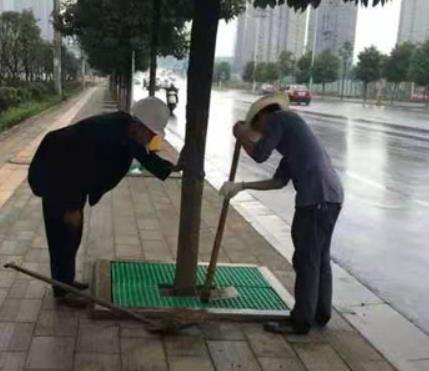 树篦子价格判断步骤